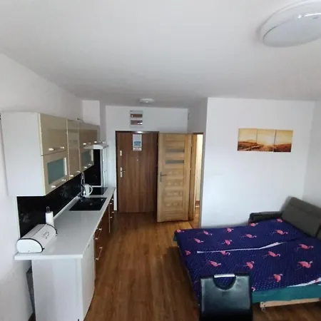 Apartamento Flamingo 19 *