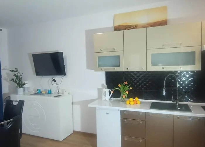 Flamingo 19 מידזיזדרויה