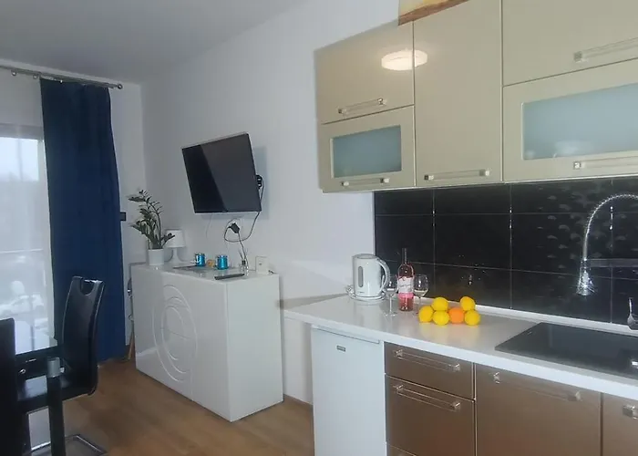 דירה Flamingo 19 מידזיזדרויה